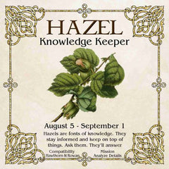 Celtic Tree Zodiac - HAZEL, The Knowledge Keeper August 5 - September 1