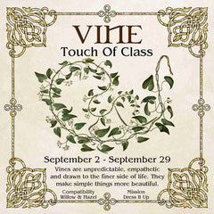 Celtic Tree Zodiac - VINE, A Touch Of Class September 2-September 29
