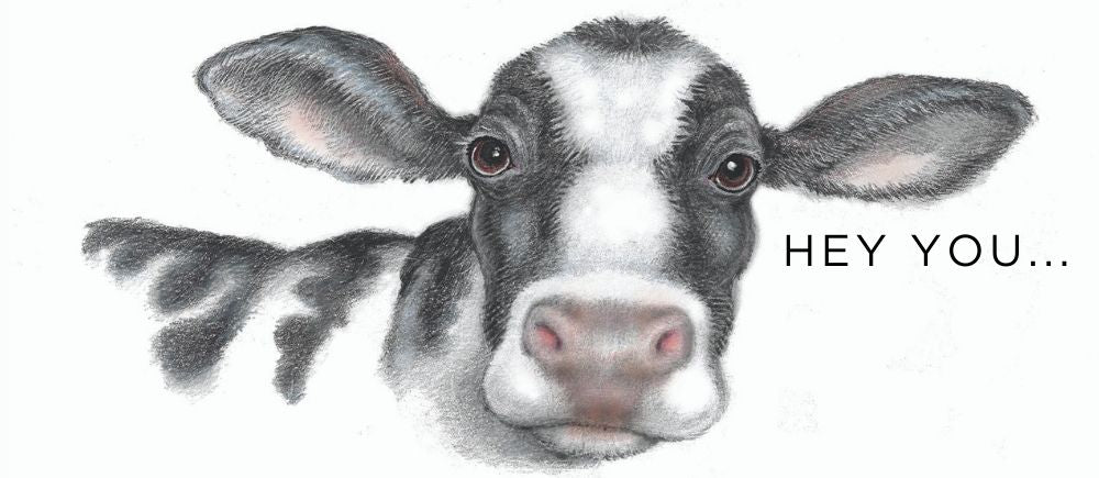 hand drawing of a cow 