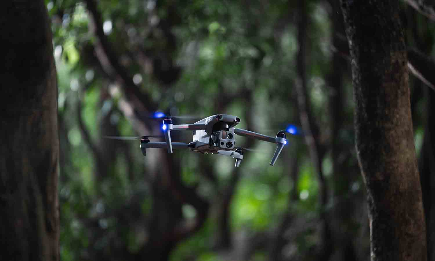 drones helping forestry management