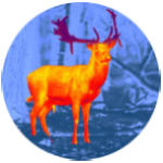 Wildlife Hunting icon