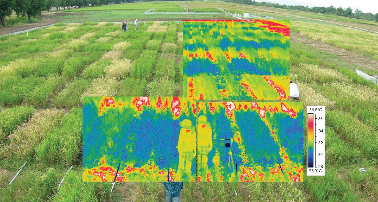 Thermal Imaging in Agriculture