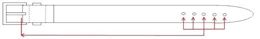 Handmade Exotics Belt Size Diagram