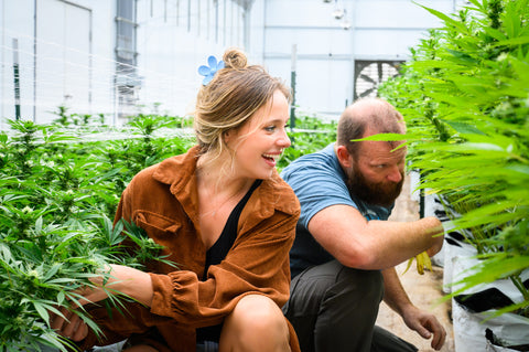 Jesse and Lauren in one of the Appalachian Standard greenhouses inspecting lush hemp plants