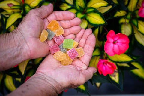 Natural candies held in hands beside a bush