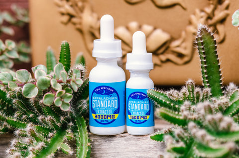 Appalachian Standard CBD tinctures surrounded by cacti