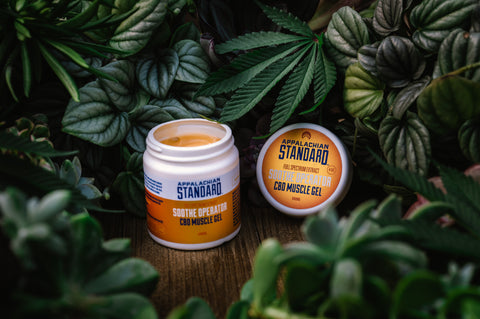 Appalachian Standard Soothe Operator CBD muscle gel sitting amongst greenery and shrubs