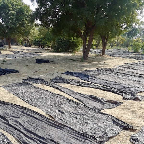 indigo-dyed fabric drying in a field