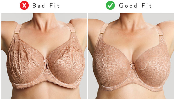 How to wear your bra properly  Are YOU wearing your bra the wrong