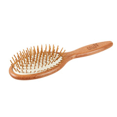 En träspikborste för hår
