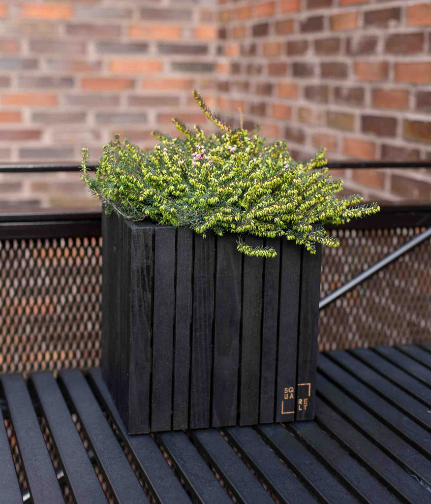 Black planter with green and pink heaths