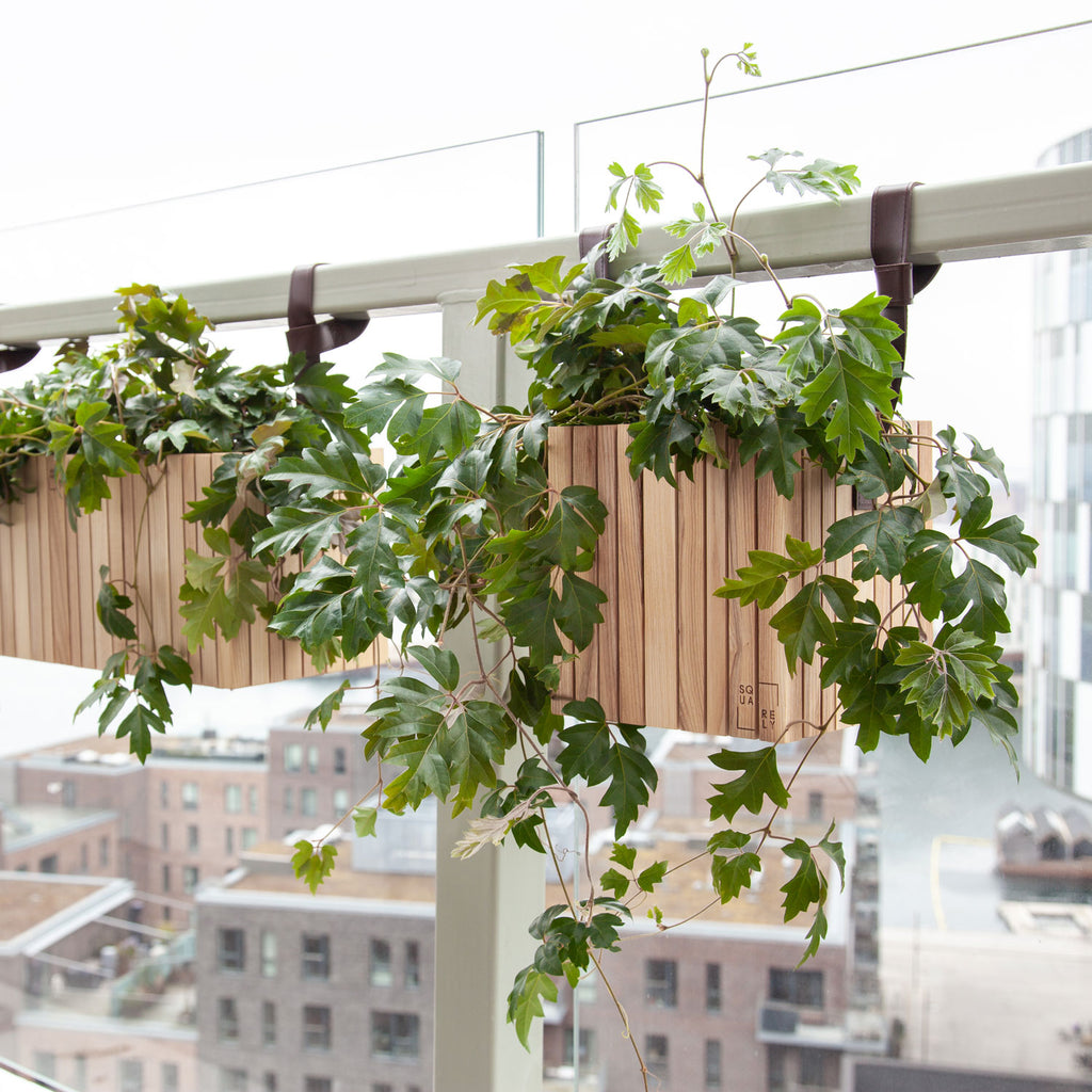 GrowWIDE and GrowON self-watering planters in Natural Ash