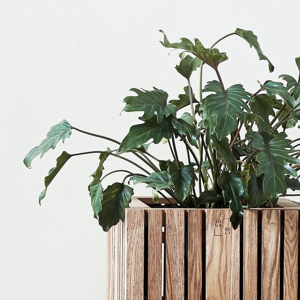 Self-watering planter