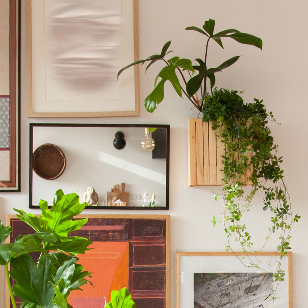 Living room with art wall including wall plants