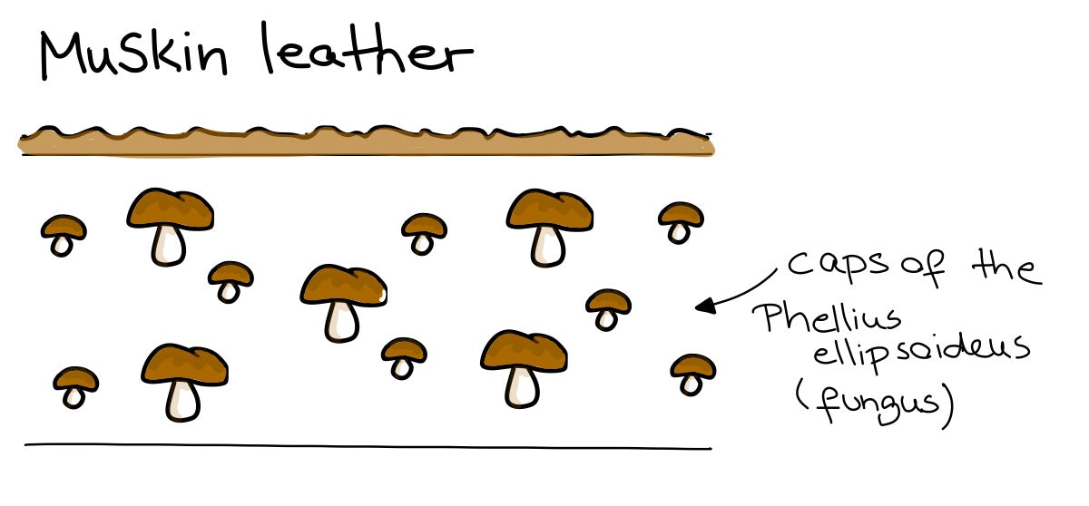 Is Mushroom the future of vegan leather alternatives? - Renoon