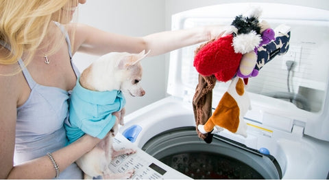 Safely Cleaning Dog Toys