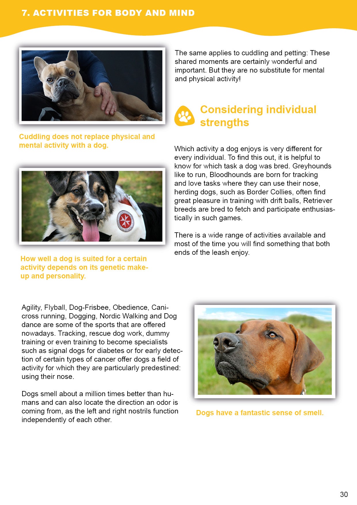 Doggy Guide Sample 2
