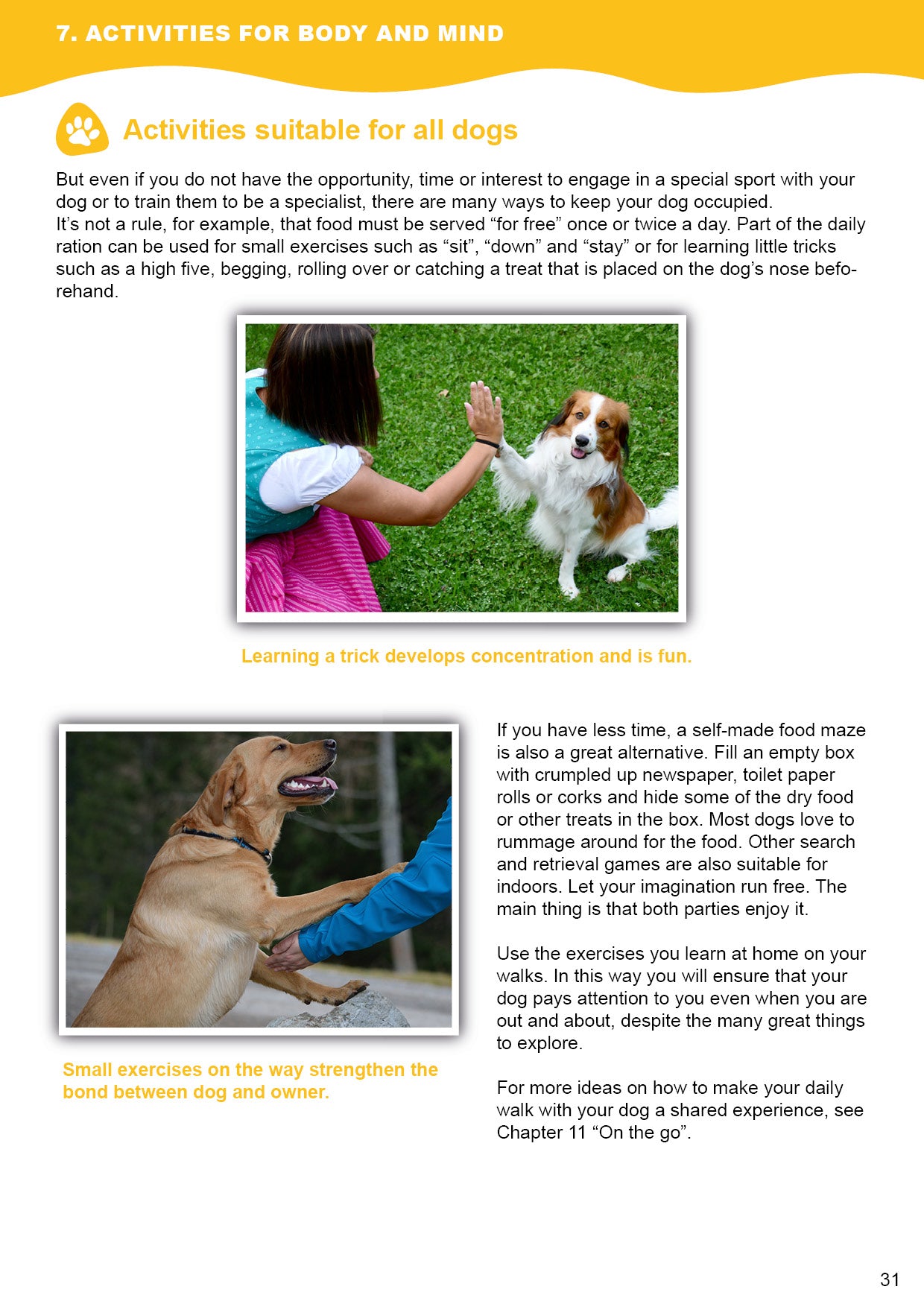 Doggy Guide Sample 3