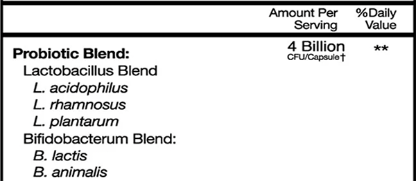 Bio X4 Probiotic Blend ingredients
