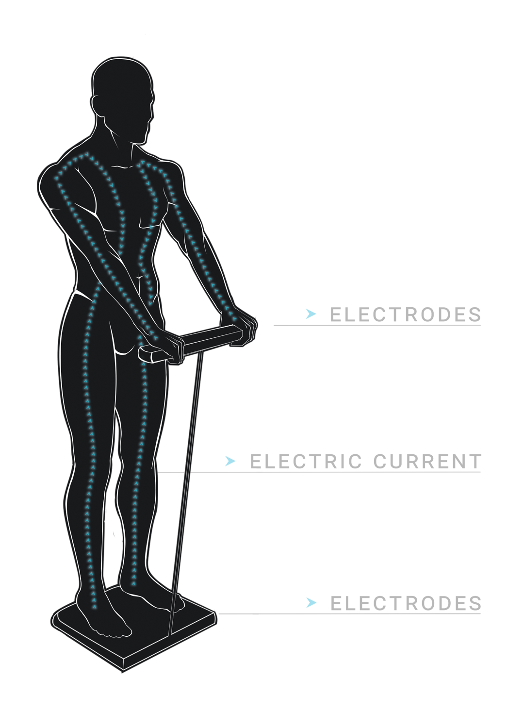 Understanding Tanita Body Composition Measurements 