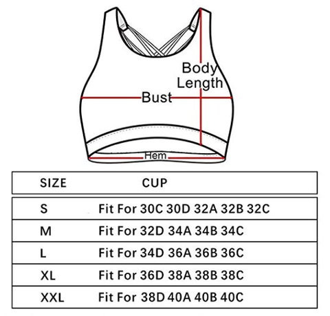 YIONTAN Yoga Sports Bra Sexy with Velcro and Zipper Padded Strappy Sports  Bras Running High Support Workout Bra, Blue, 30-34AA/DDD : :  Clothing, Shoes & Accessories