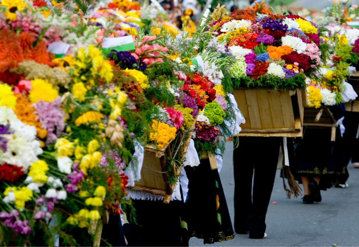 medellin flower festival