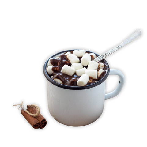 warm, rich, hot chocolate with marshmallows