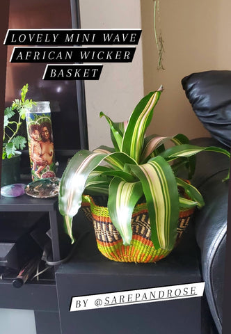 Home decor plant baskets