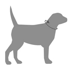 Storeys & Tails - Collar Reference