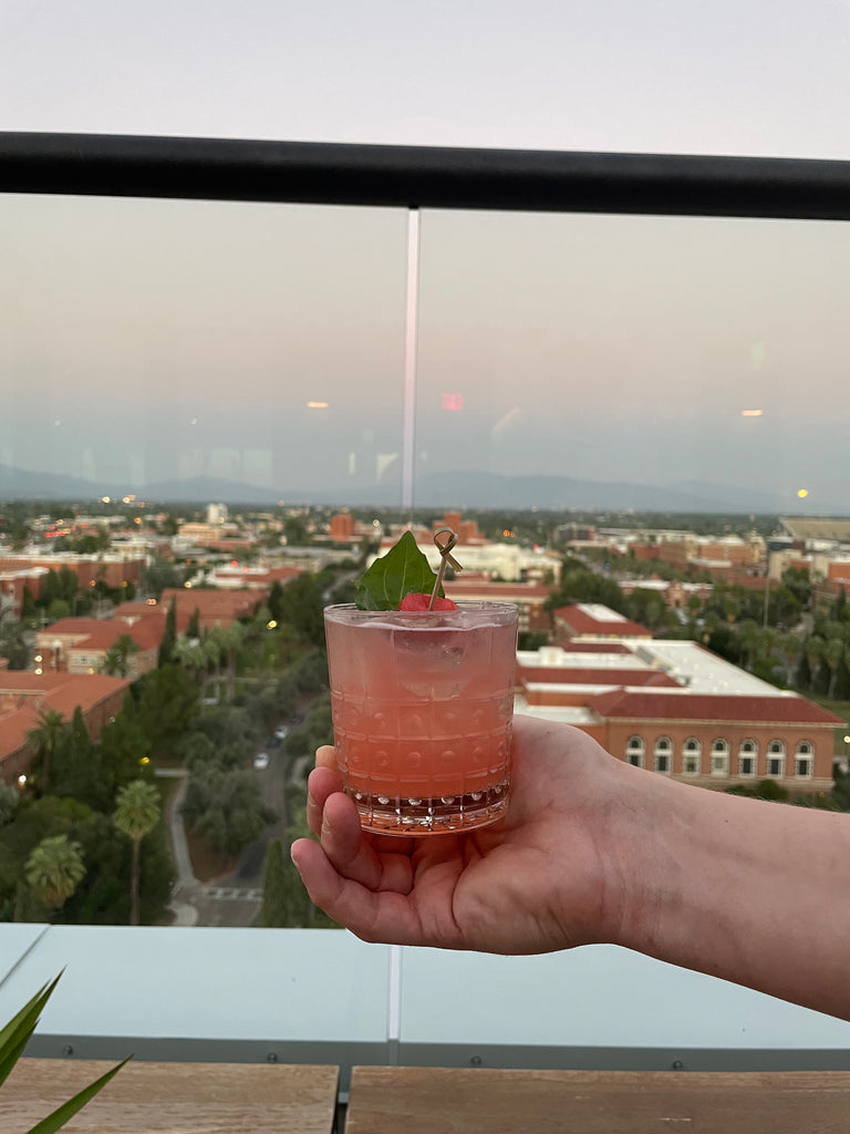 Watermelon Tom Collins with jalapeno and basil made by Iconic Cocktail Co.