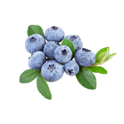 A group of fresh blueberries with leaves attached. One of the ingredients used in Smoov's berry exotic blend.