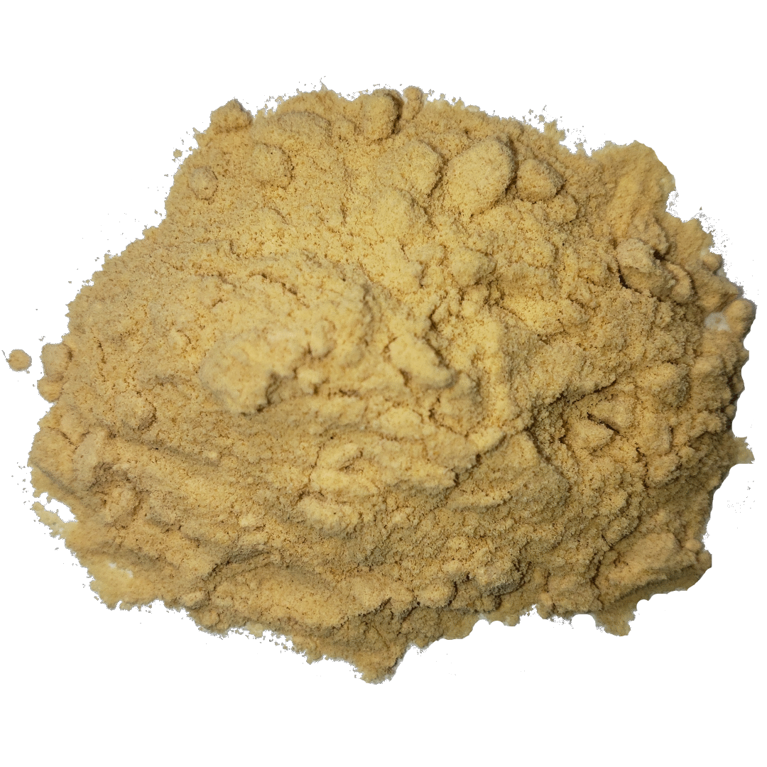 A scoop of gelatinized maca powder from Smoov Blends. Organically grown in Peru.