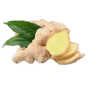 Fresh whole ginger with a few slices showing bright yellow flesh. It is one of the ingredients used in the wave blend by Smoov.