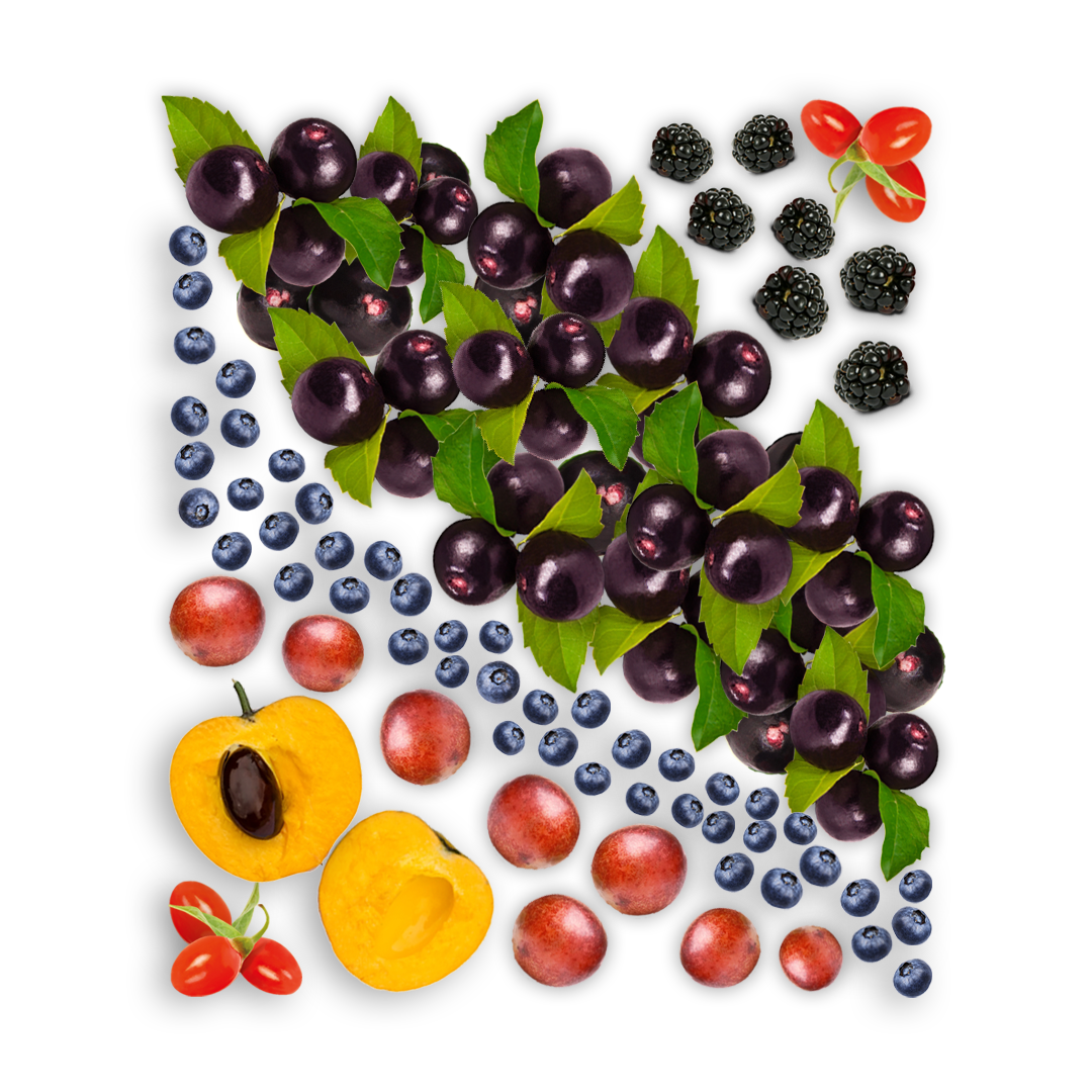 The ingredients for Smoov's berry exotic blend laid out to form a rectangle.