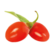 A pair of bright red goji berries. One of the ingredients used in Smoov's golden blend.