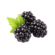 Group of fresh dark purple blackberries with bright green leaves. One of the ingredients used in Smoov's berry exotic blend.