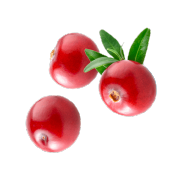 Bright red cranberries. One of the ingredients used in Smoov's blush blend.