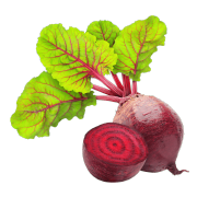 A deep red beet sliced in half to show red flesh on the inside. One of the ingredients used in Smoov's blush blend.