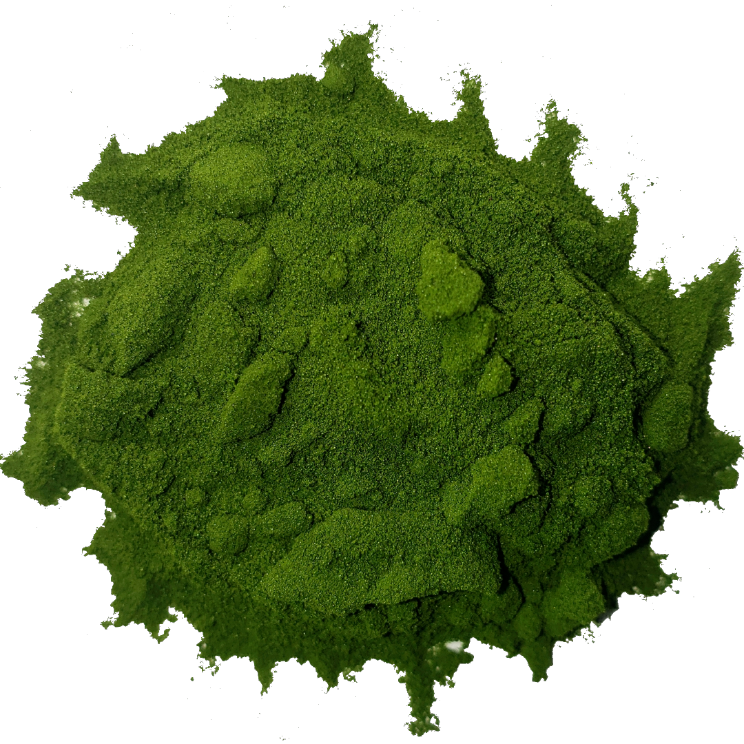 Circle of bright vibrant forest green barley grass juice powder from Smoov Blends. Made from freshly juiced barley grass.