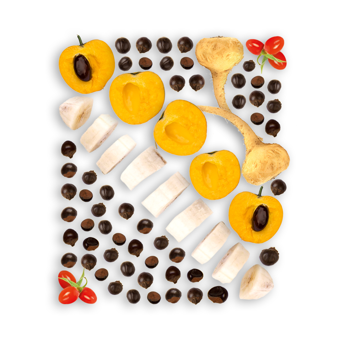 The ingredients for Smoov's fuel blend laid out to form a rectangle.