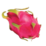 Bright hot pink dragonfruit with bright green tips. One of the ingredients used in Smoov's blush blend.