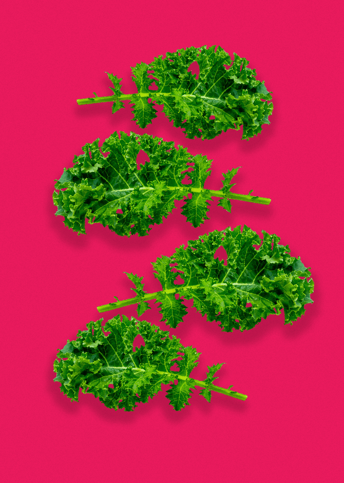 4 bright green kale leaves floating on a bright pink Smoov surface