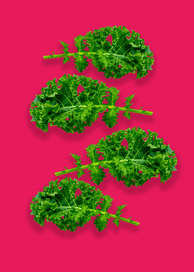 Smoov depiction of fresh kale leaves on a pink background