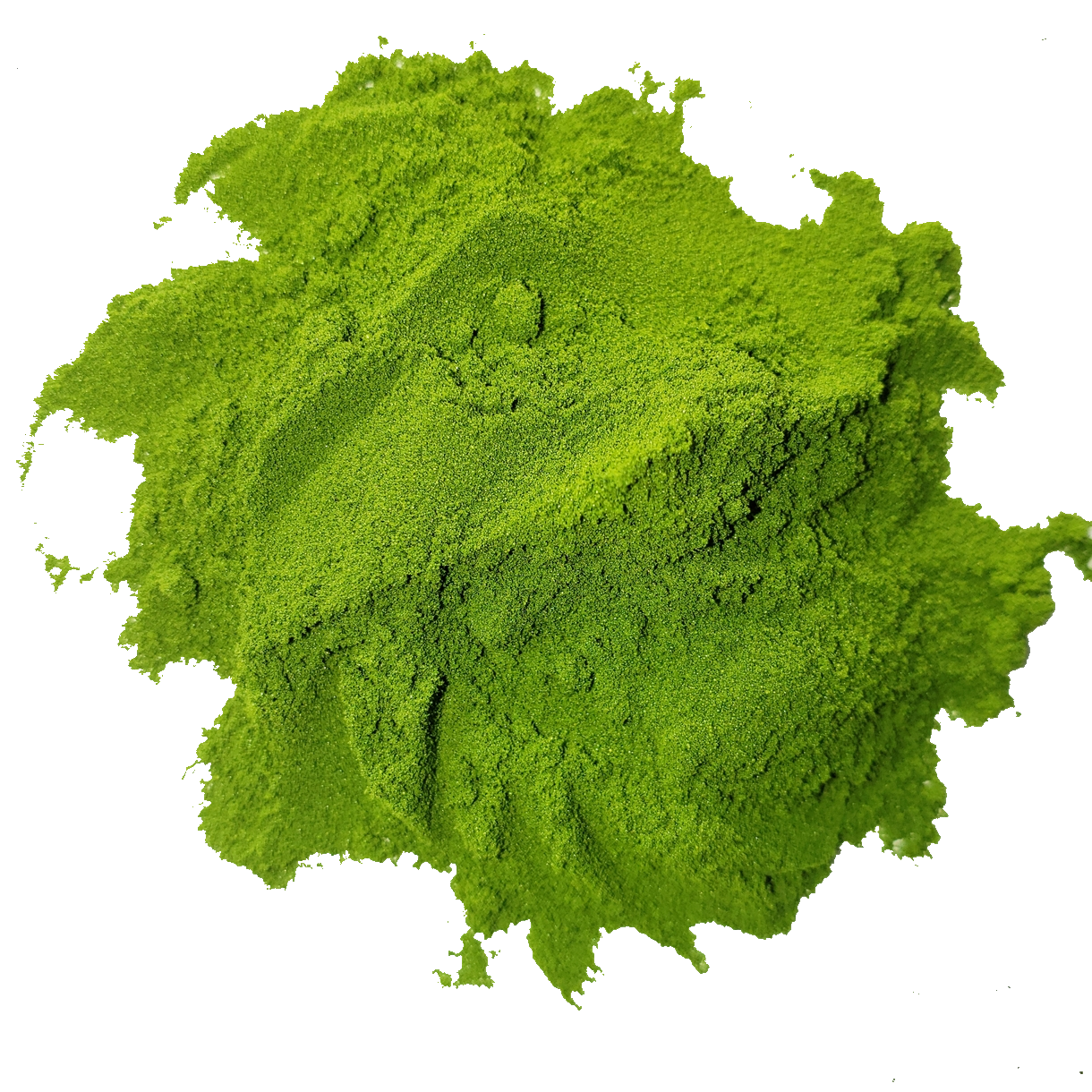 Circle of bright vibrant forest green alfalfa grass juice powder from Smoov Blends. Made from freshly juiced alfalfa grass.