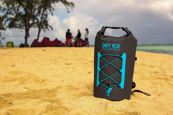 Dry Ice Cooler Bag