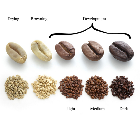 How to Choose the Perfect Coffee Roast: A Comprehensive Guide – Home ...