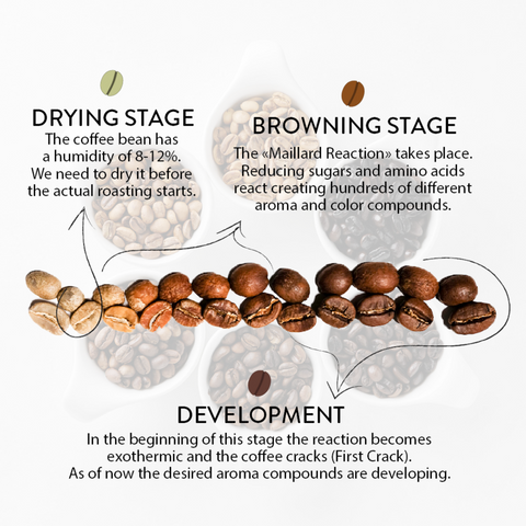 The science behind the Maillard reaction in coffee roasting