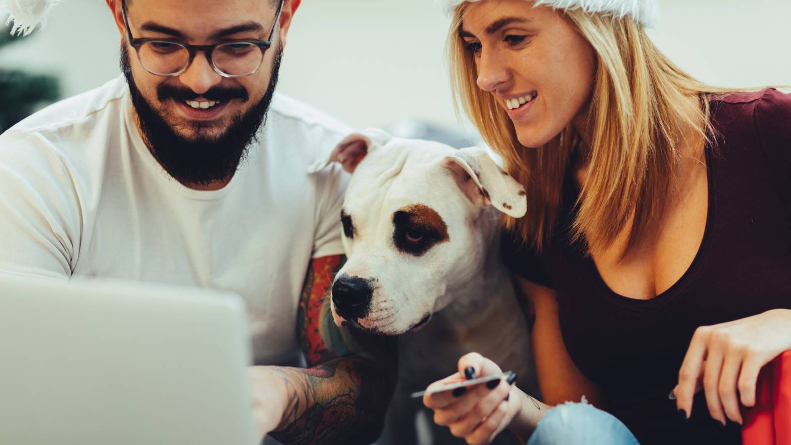 young couple with dog looking at laptop screen