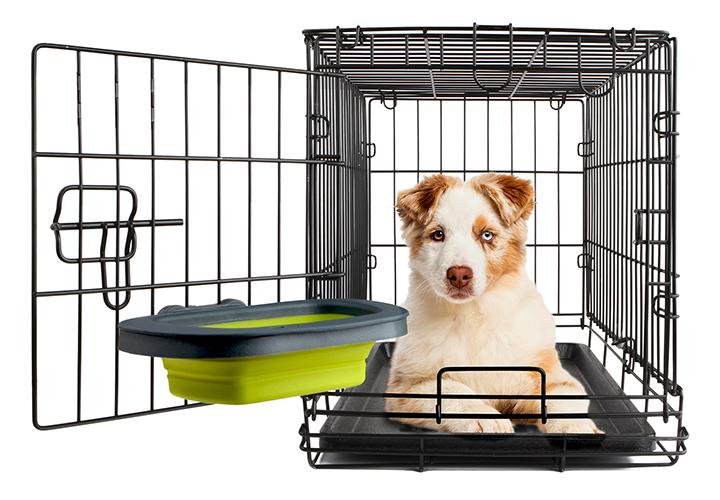 dog crate bowls