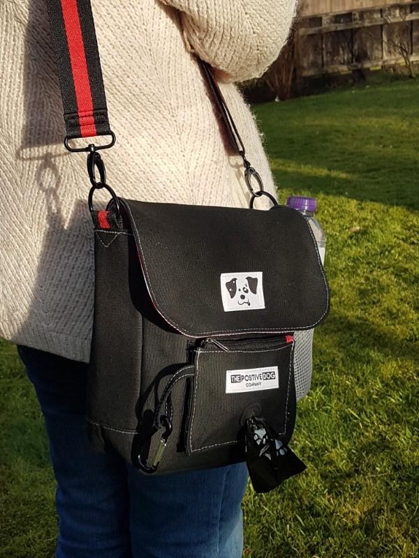 dog walking bag